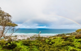 Birch Aquarium Announces Two Weekends of Earth Day Celebrations