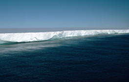 An ice shelf and the ocean in Antarctica.