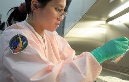 researcher evaluates cell samples