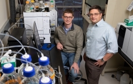 Supplementation with Amino Acid Serine Eases Neuropathy in Diabetic Mice
