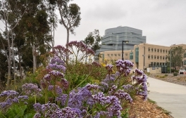 UC San Diego Health La Jolla Campus