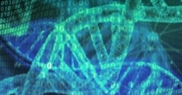 DNA