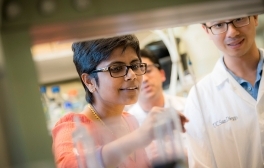 Pradipta Ghosh and two researchers work in lab