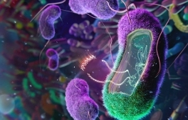 Engineering the Microbiome to Potentially Cure Disease