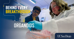 Video: Ghosh Organoids Thumbnail