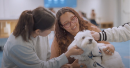 Video: Students pet a therapy dog