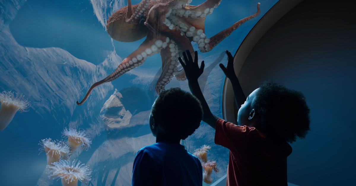 Rendering of two young aquarium guests gazing up into an expansive octopus habitat