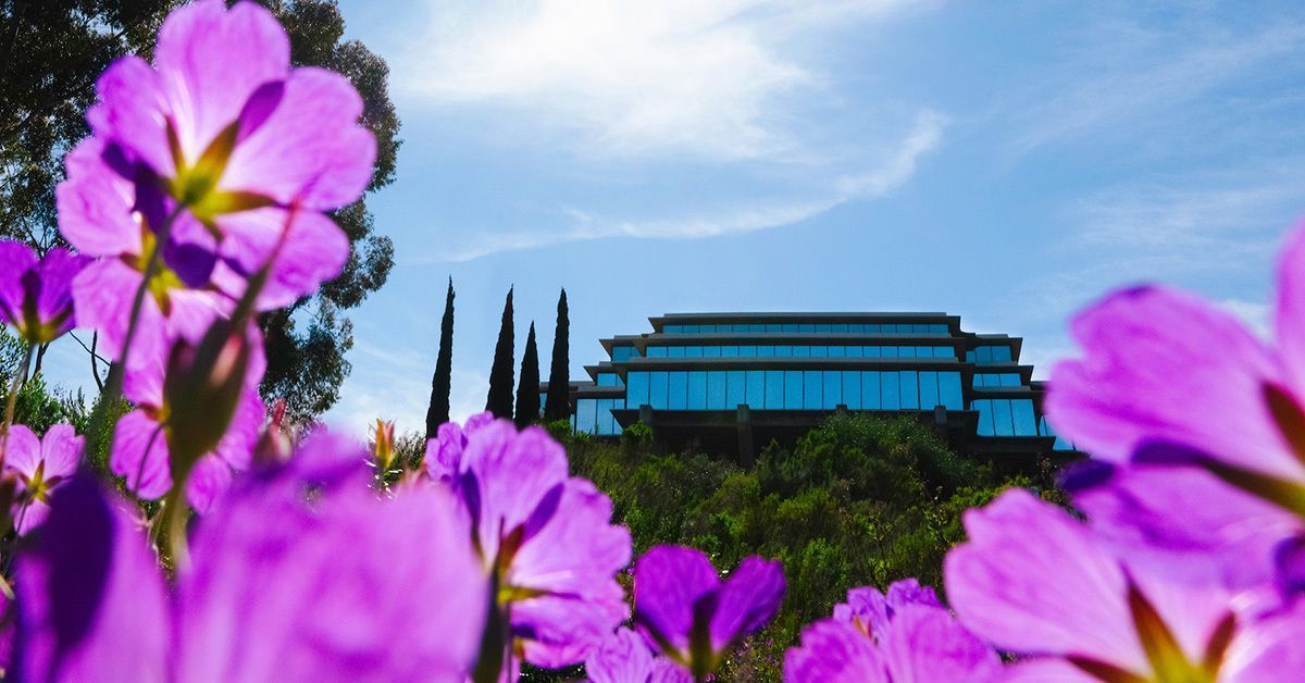 A photo of Geisel library with purple flowers in the foreground. 