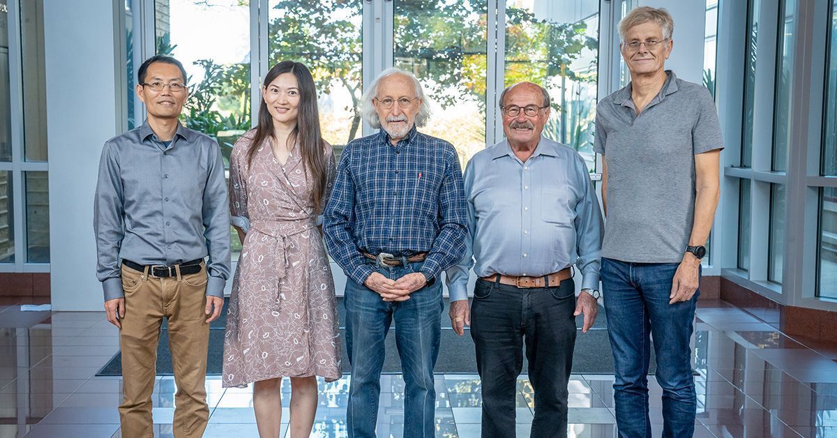 Five people stand and smile in a row.