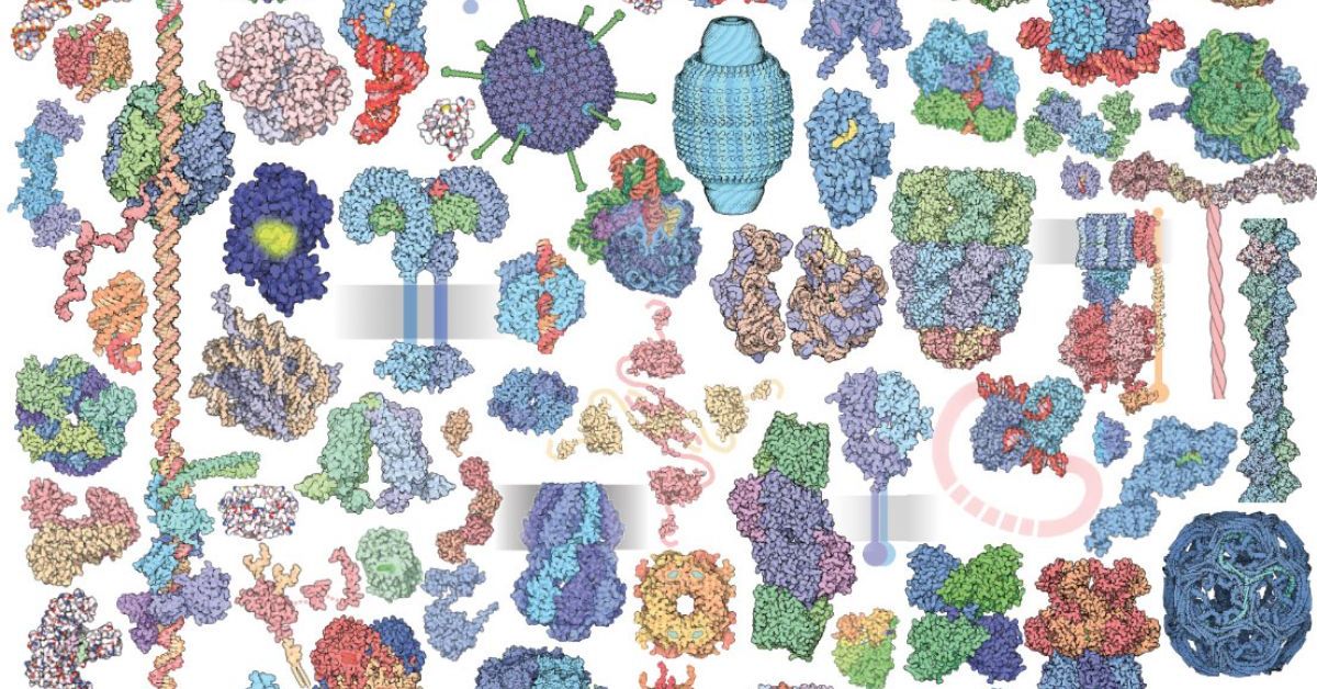 サンディエゴスーパーコンピュータセンターとSingAREN、アジア研究者のデータアクセスを改善するための努力