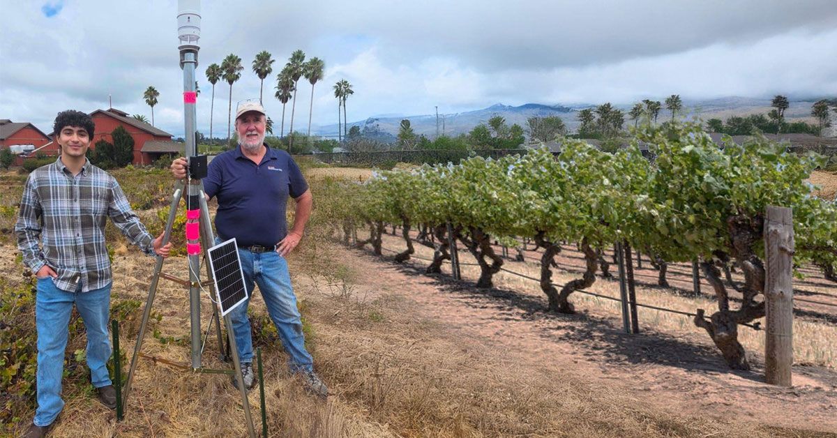 A man and student stand in a vineyard with a solar-powered sensor mast under a cloudy sky.