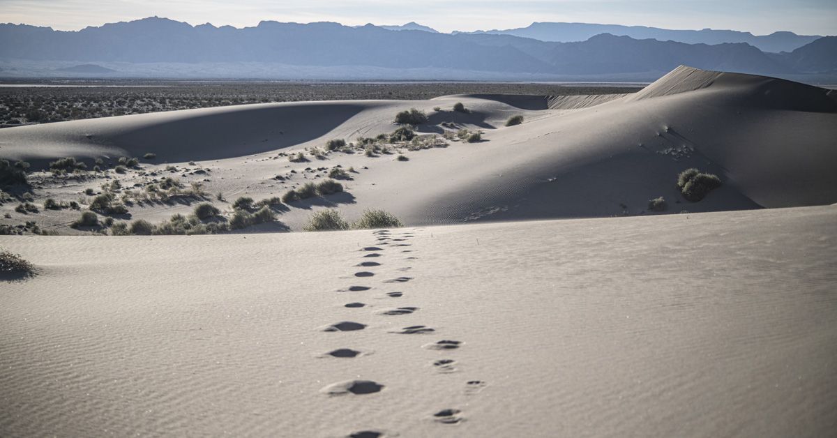 Person walking alone in the desert