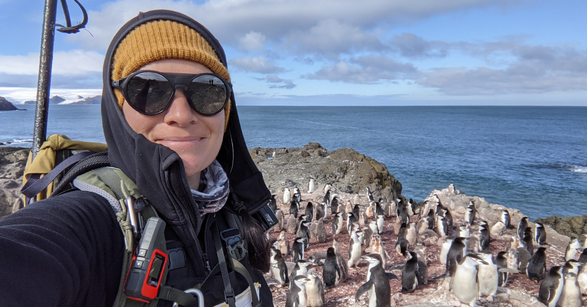 Photo of Sumérgete en la ciencia de las aves marinas