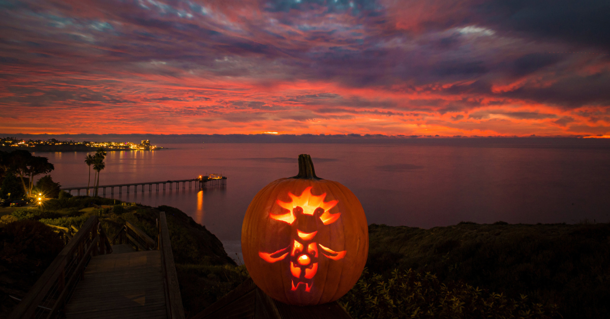 Carved pumpkin during sunset with a view of Scripps pier in the background.