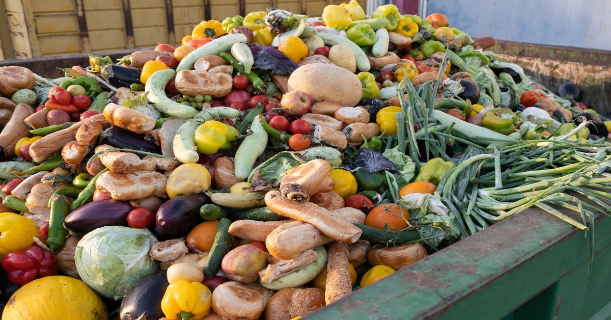 Dynamic Pricing Superior to Organic Waste Bans in Preventing Climate Change