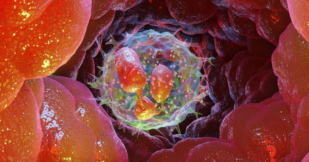 Illustration of Neutrophiles type Leukocyte cell