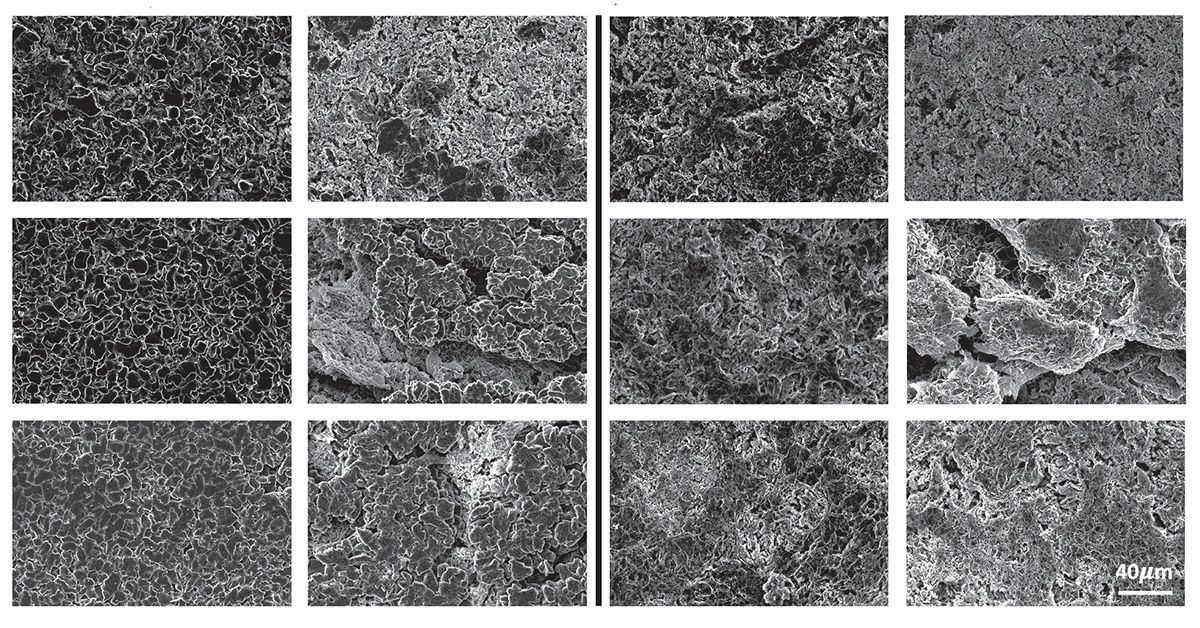 12 gray images arranged in a 3 by 4 grid.