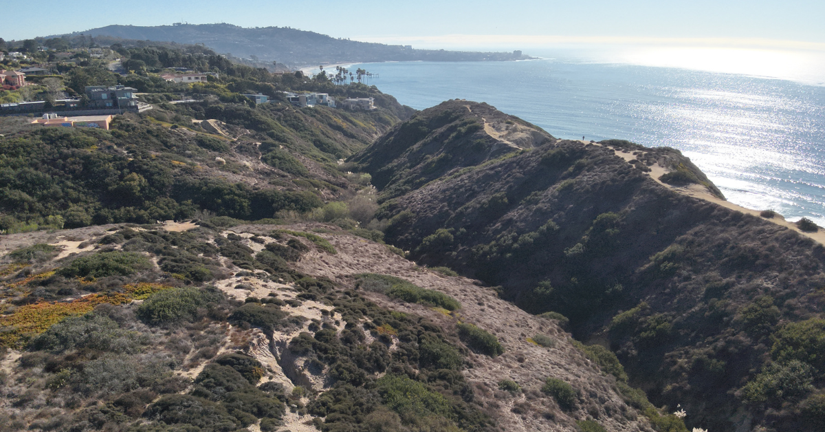 View of the ocean and cliffs near UC San Diego taken from a drone/