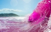 Pink Dye Experiment to Reveal Mysteries of Coastal Ocean Dynamics