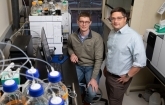Supplementation with Amino Acid Serine Eases Neuropathy in Diabetic Mice