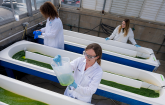 Rethink, Rewrite, Redefine—How Biodegradable Plastics Are Reshaping Sustainability