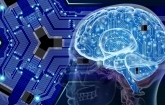 Artificial Neural Networks Learn Better When They Spend Time Not Learning at All