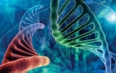 Scientists Receive $4.8M to Pursue Gene Therapy for ‘Incurable’ Disease