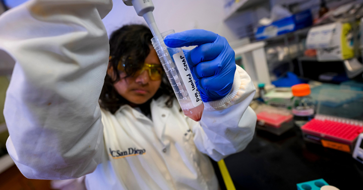 Scientists works with gel in lab 