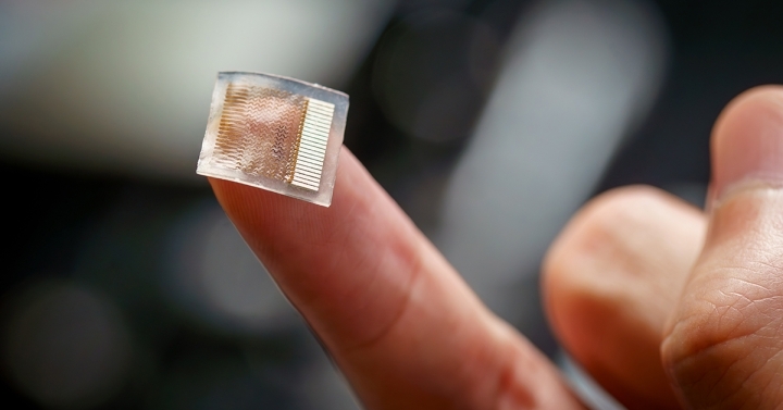 Small, transparent square with electronic circuits stuck on the tip of an index finger.