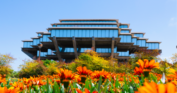 Geisel Library with spring flowers in foreground.