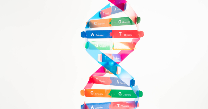 illustration of multi-colored DNA double helix with base pairs identified