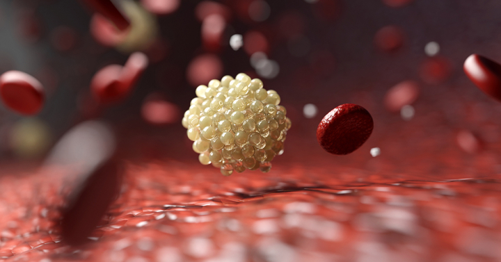 The Long Pathway to Cell Organization and Growth