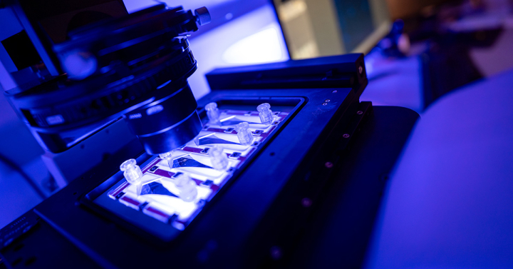 A set of slides lit up under a microscope in the foreground, with two scientists looking at a computer screen in the background.