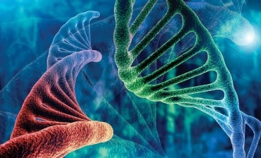 科学家获得480万美元用于“不治之症”的基因治疗