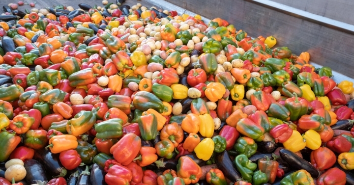 Expired Organic bio waste. Mix Vegetables and fruits in a huge container, Organic Compost heap. 