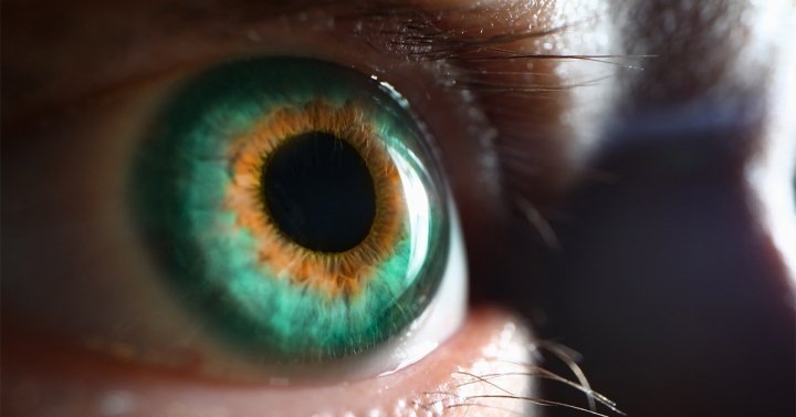 Photo of grey-green eye