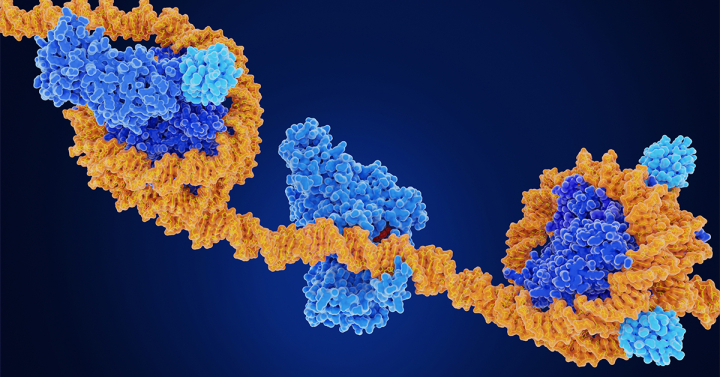 DNA methyl transferase (DMNT1) and ubiquitin stock photo
