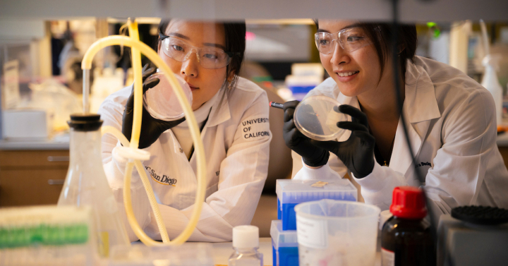 Two researchers examine samples in a lab at UC San Diego