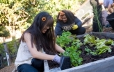 Video: Student gardeners