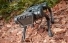 Four-legged robot stands on rocky ground.