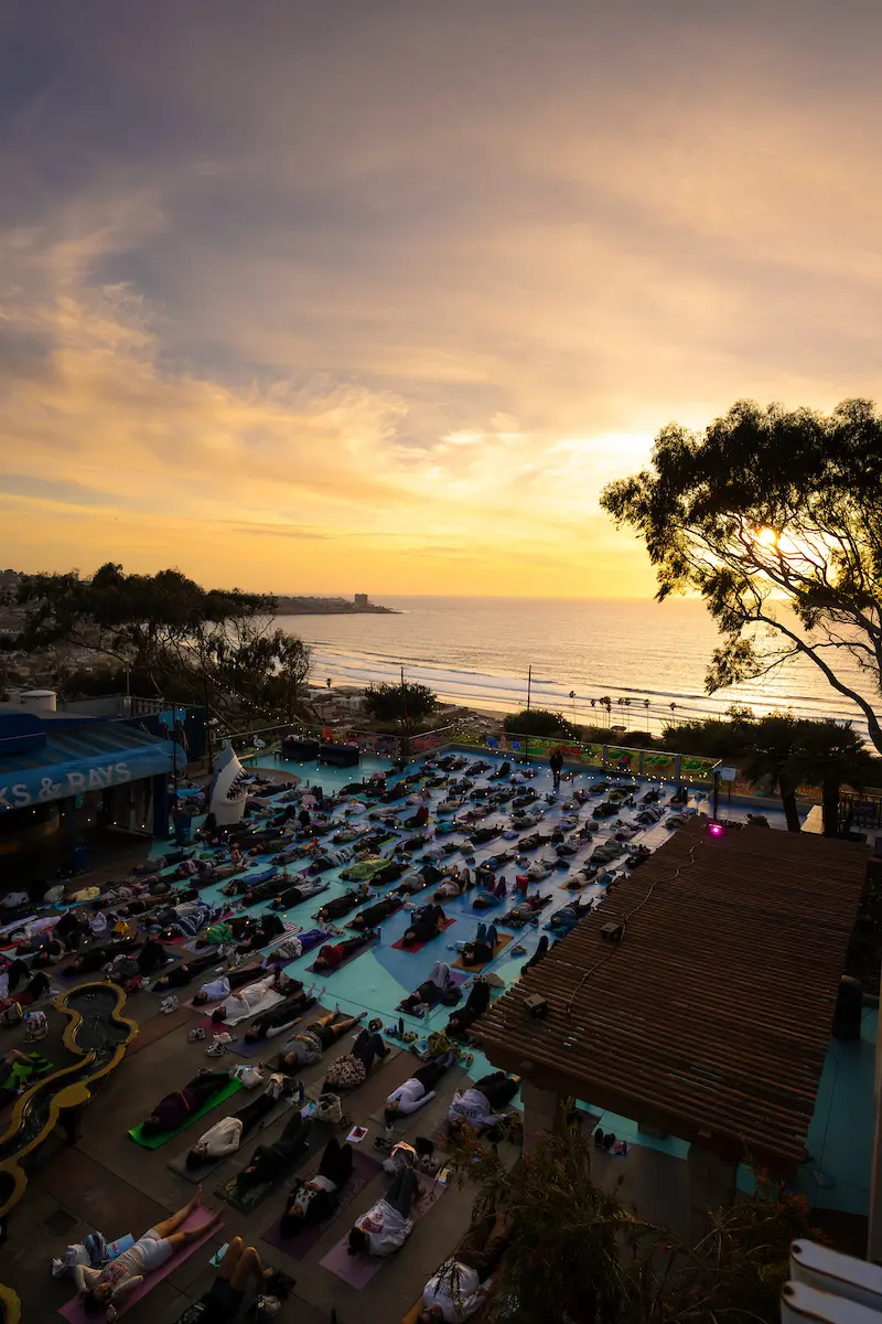 Wide angle view of students in resting yoga pose with sun setting over the ocean