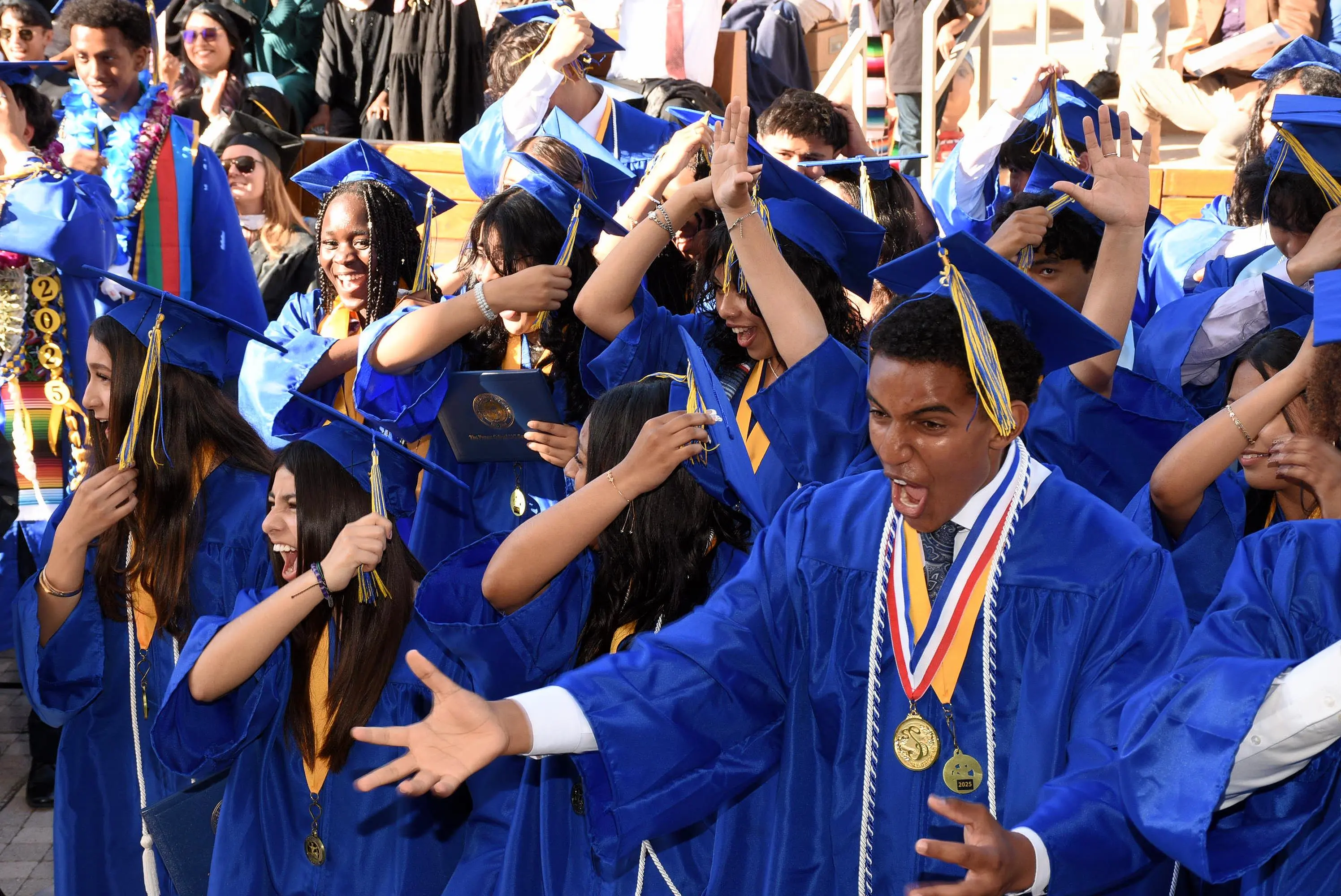 group of students celebrate and cheer