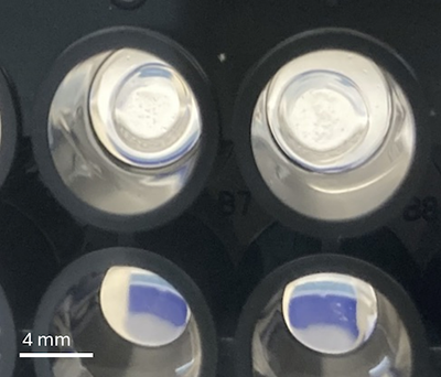 Hydrogels