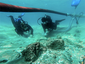 Science divers use an underwater dredge system to vacuum away sand from the ruins of a settlement wall.