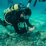 Archaeologists Explore Secrets of Neolithic Village off Israel’s Coast