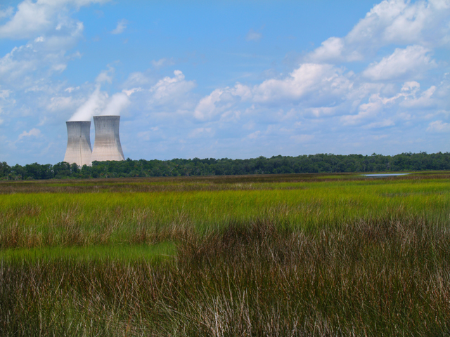 U.S. Nuclear Power: The Vanishing Low-Carbon Wedge