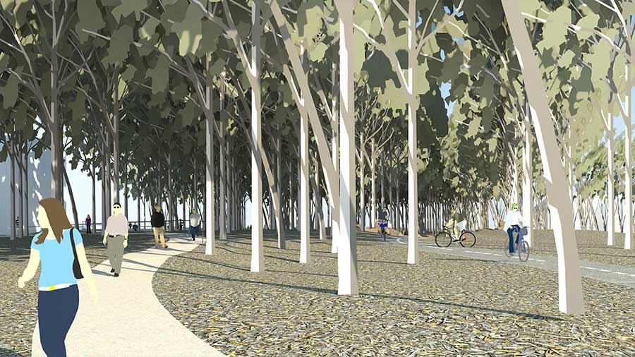 Bike Path Rendering