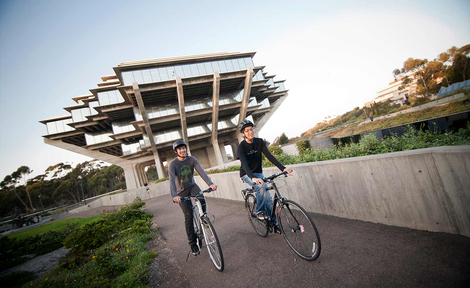 Bike Path