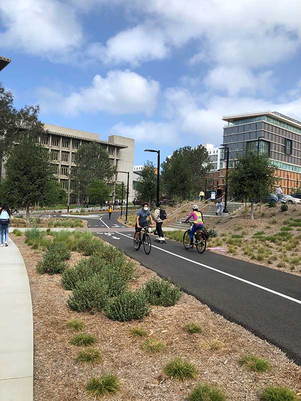 Bike path on campus.