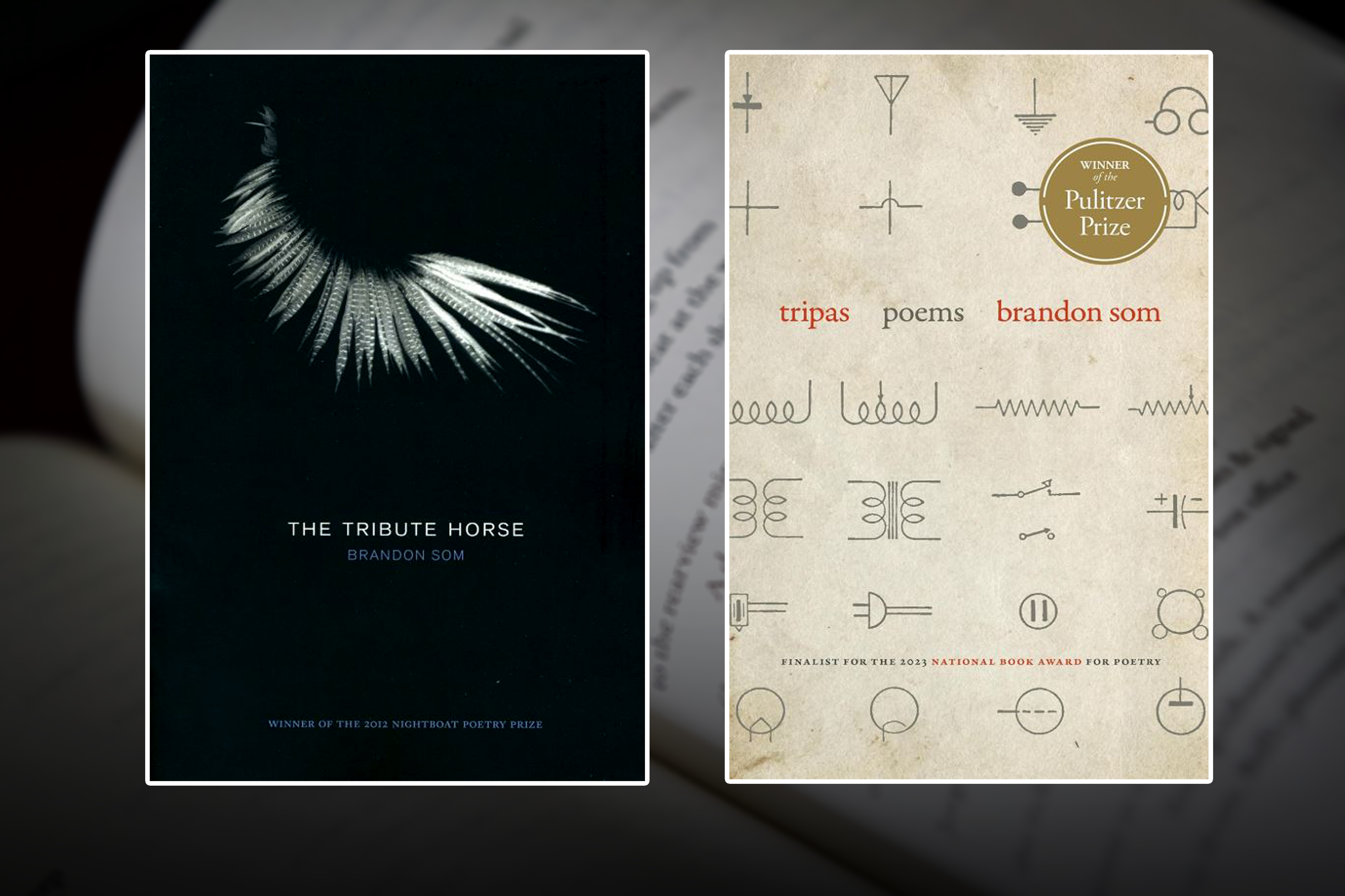 The covers of Brandon Som's two books, Tribute Horse and Tripas